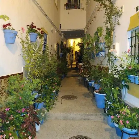 Casa Jurel *