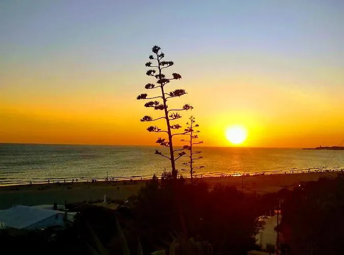 Apartamento Casa Jurel